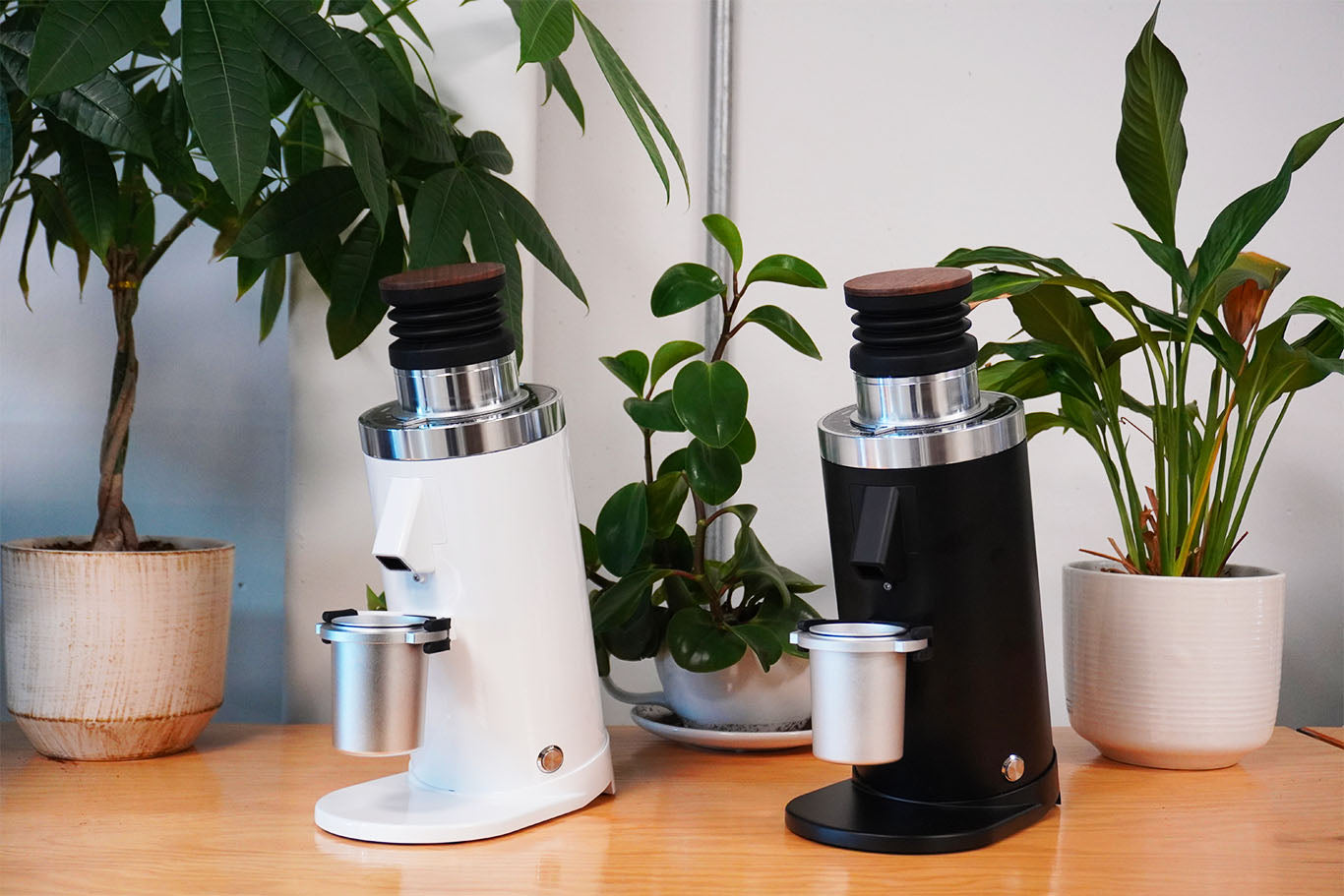 Which Coffee Grinder Should You Buy?