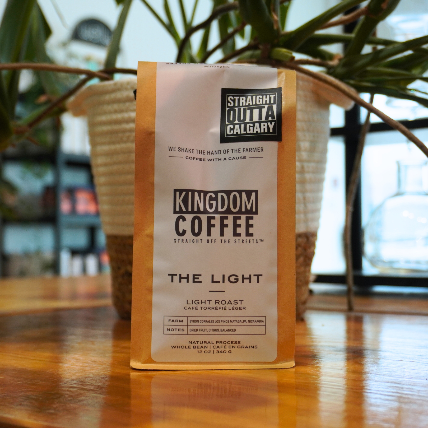 Kingdom Coffee The Light Coffee Beans