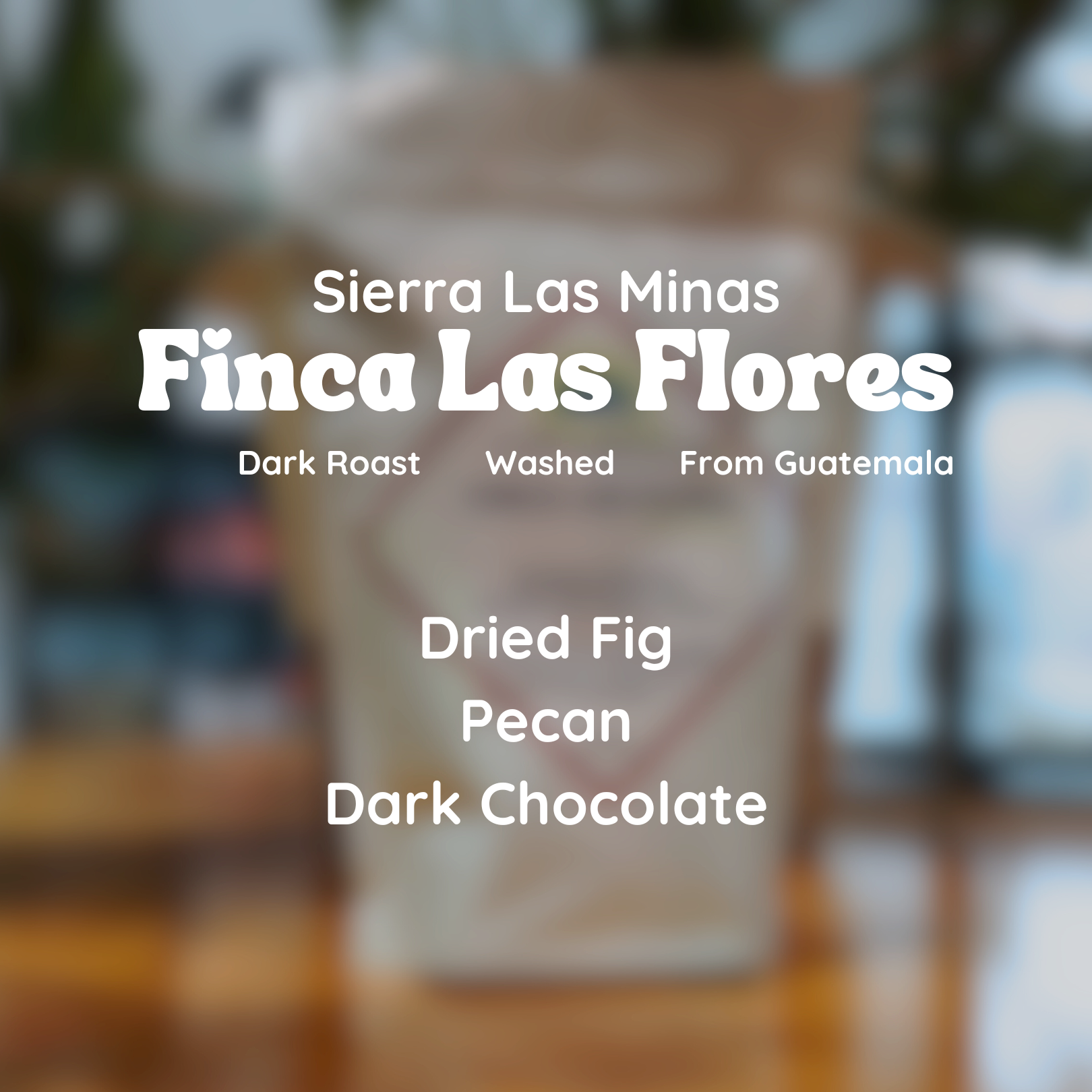 Sierra Las Minas Finca Las Flores Coffee Beans