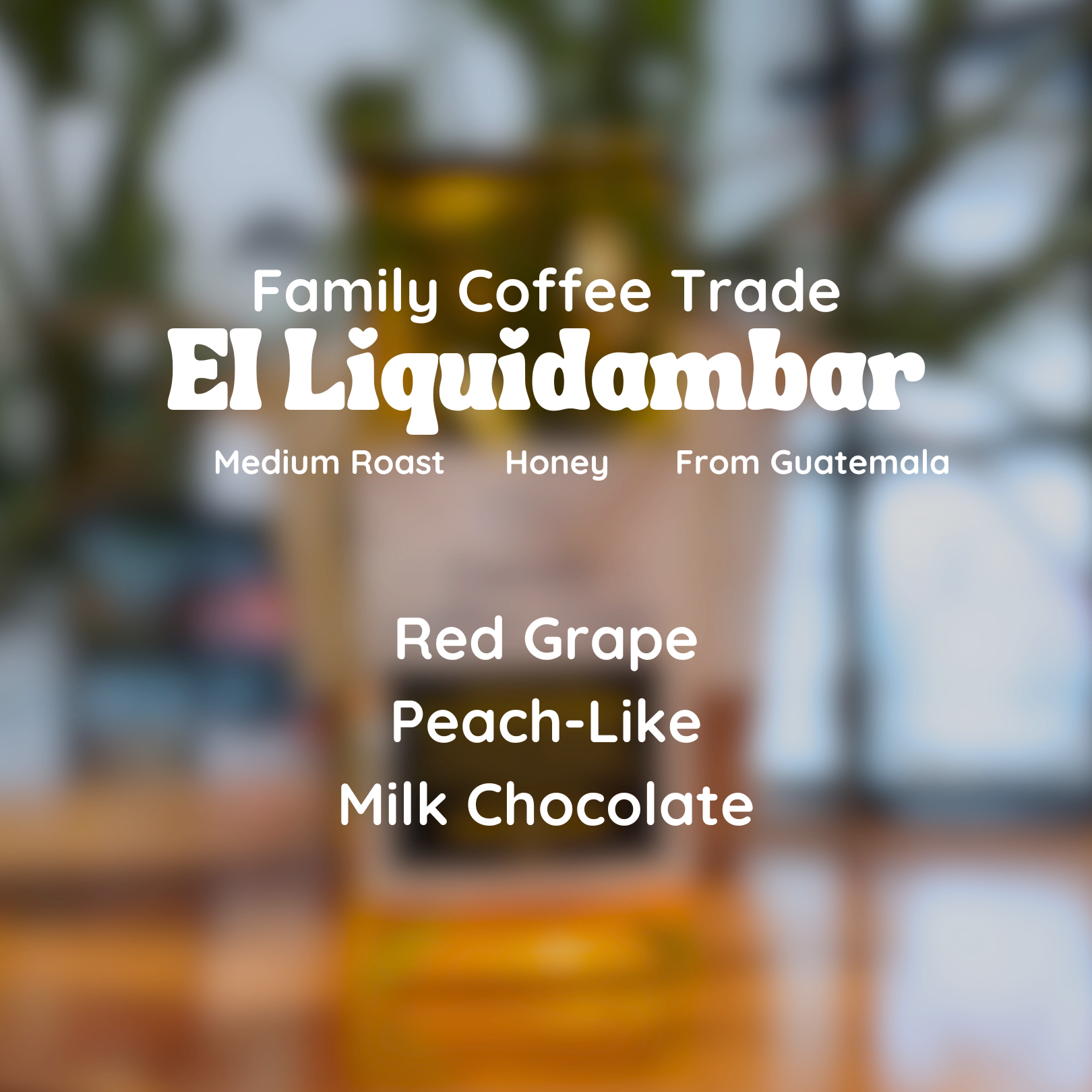 Family Coffee Trade El Liquidambar - Honey Processed Coffee Beans