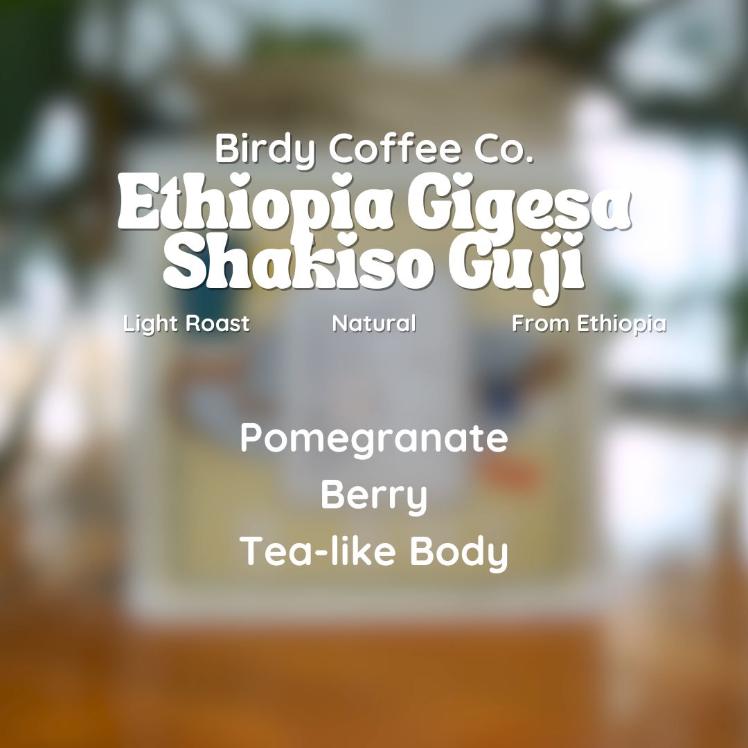 Birdy Coffee Co. Ethiopia Gigesa Shakiso Guji Coffee Beans