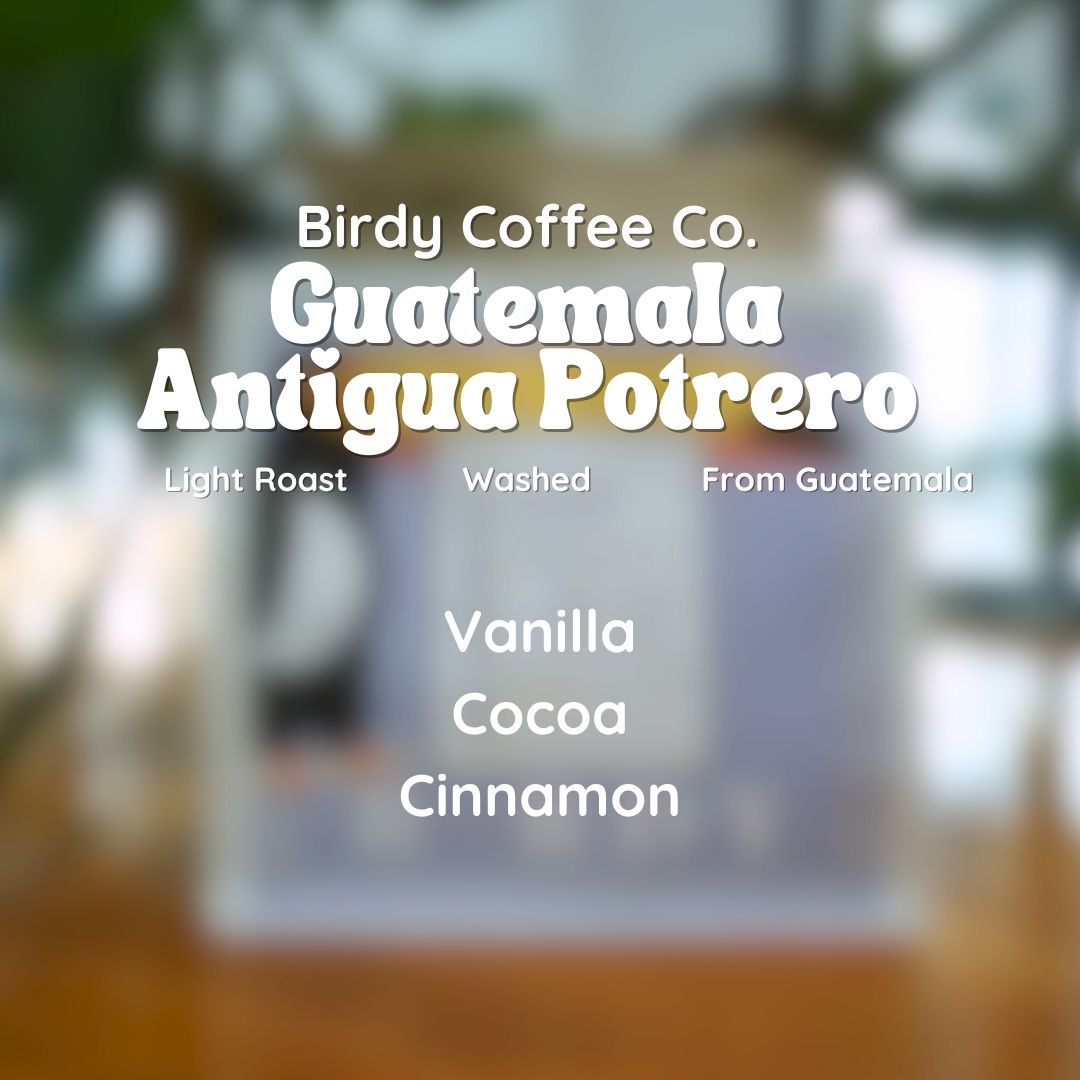 Birdy Coffee Co. Guatemala Antigua Potrero Coffee Beans