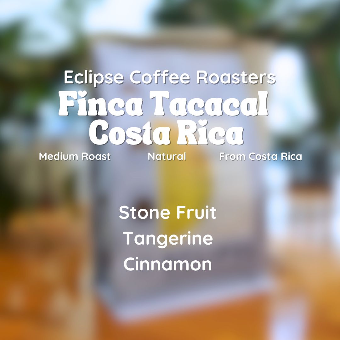 Eclipse Coffee Roasters Finca Tacacal Costa Rica Coffee Beans