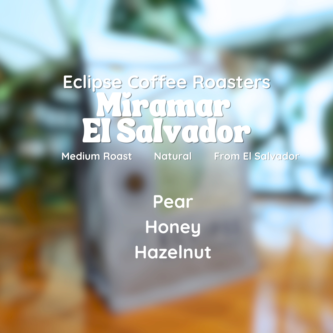 Eclipse Coffee Roasters Miramar El Salvador Coffee Beans