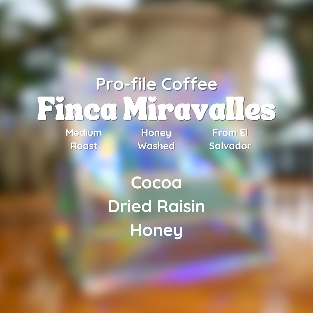 (DISCOUNT) Pro-file Coffee Finca Miravalles Coffee Beans