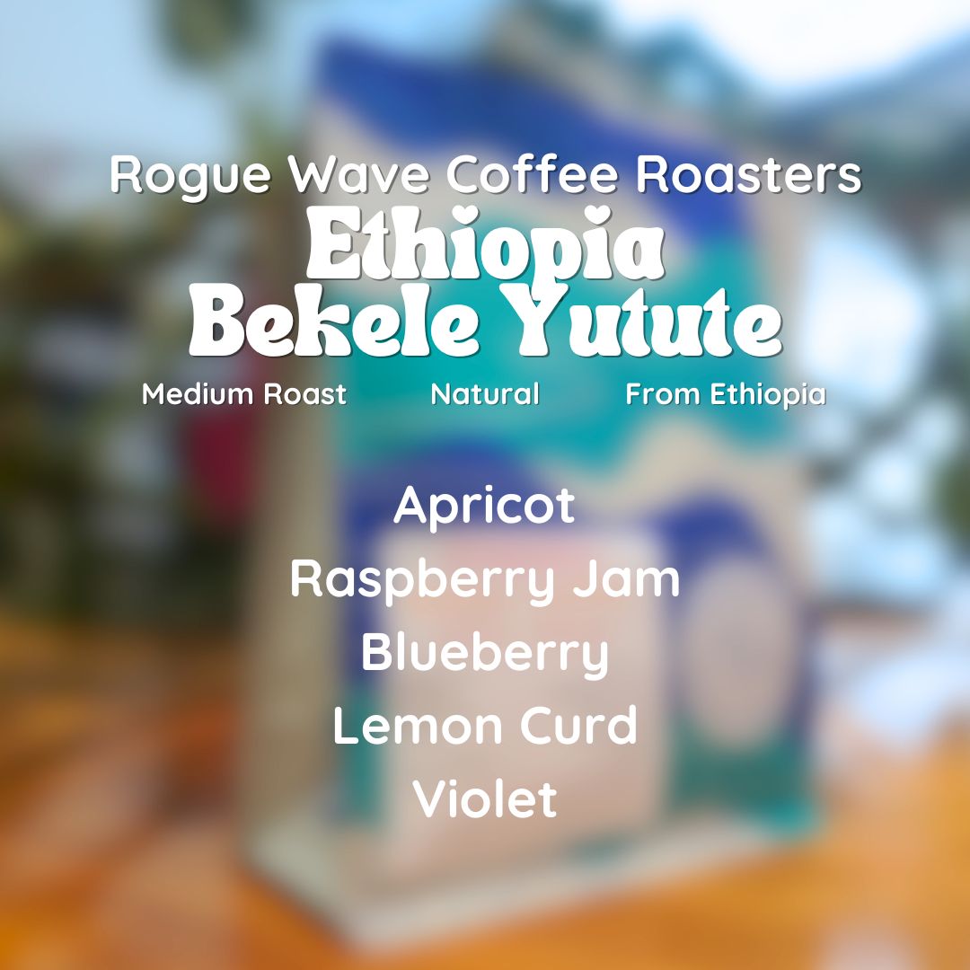 Rogue Wave Ethiopia Bekele Yutute Coffee Beans