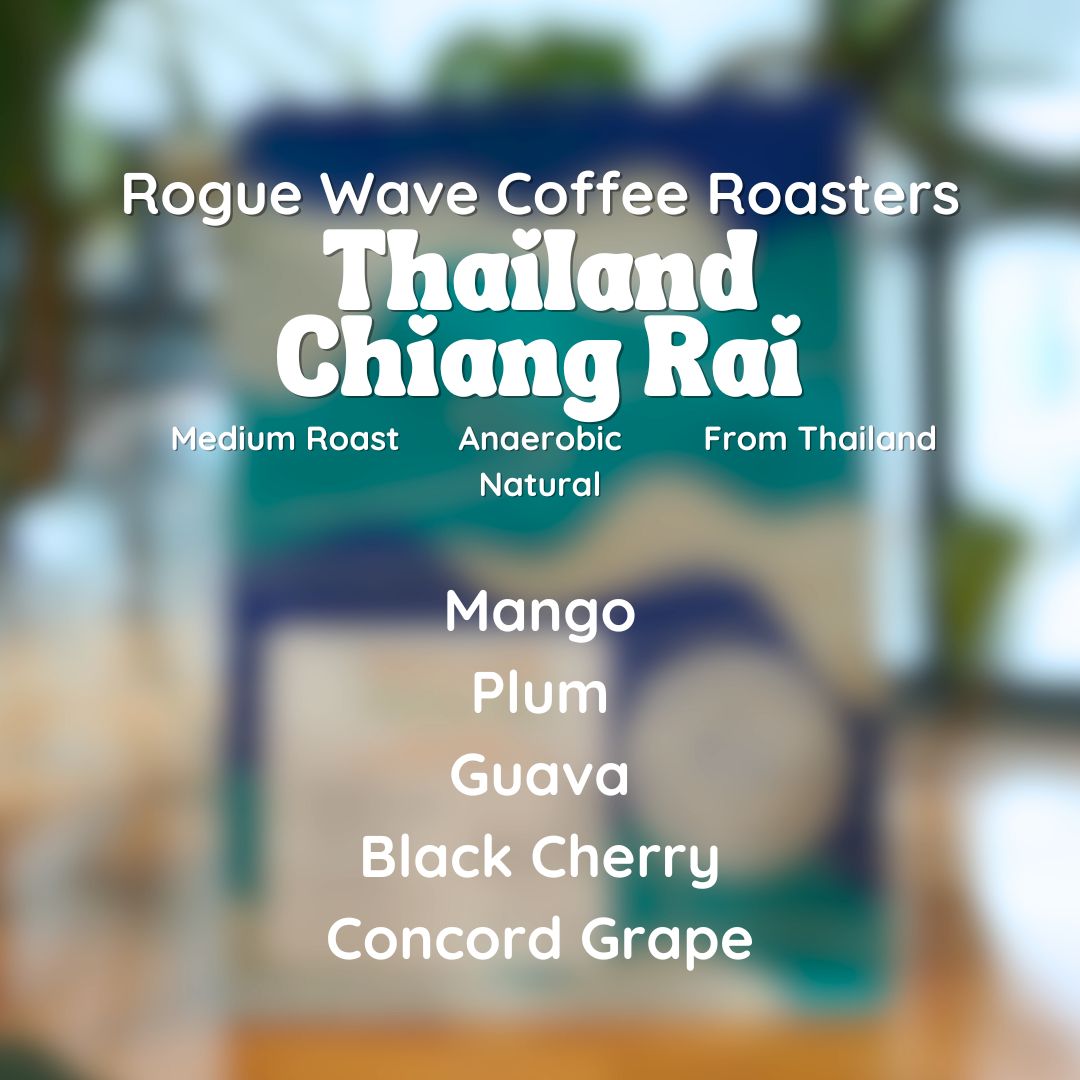 Rogue Wave Thailand Chiang Rai Coffee Beans