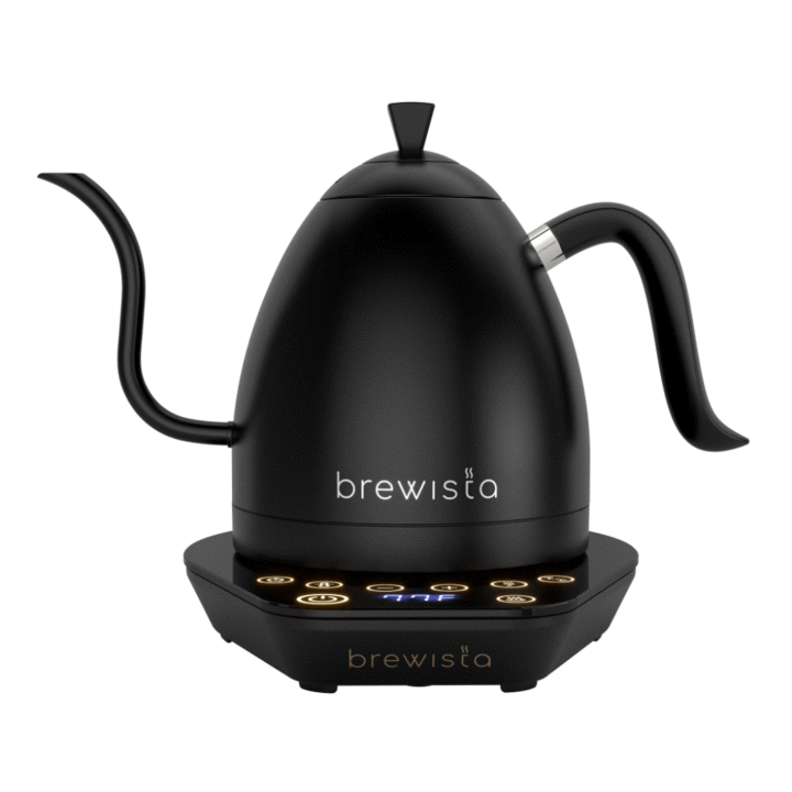 Brewista Artisan Variable Temperature Kettle 1.0L