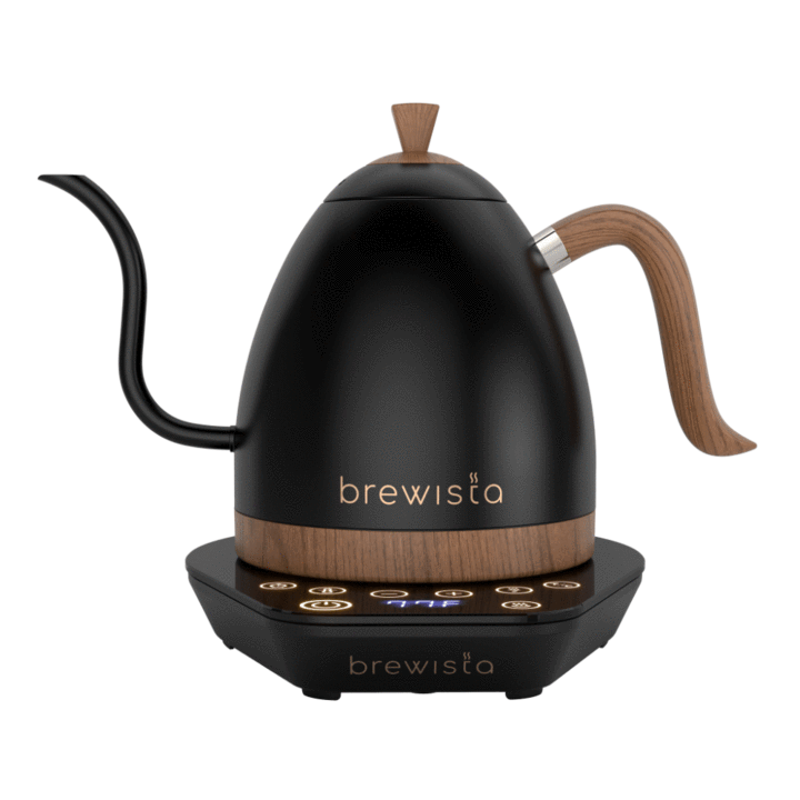 Brewista Artisan Variable Temperature Kettle 1.0L