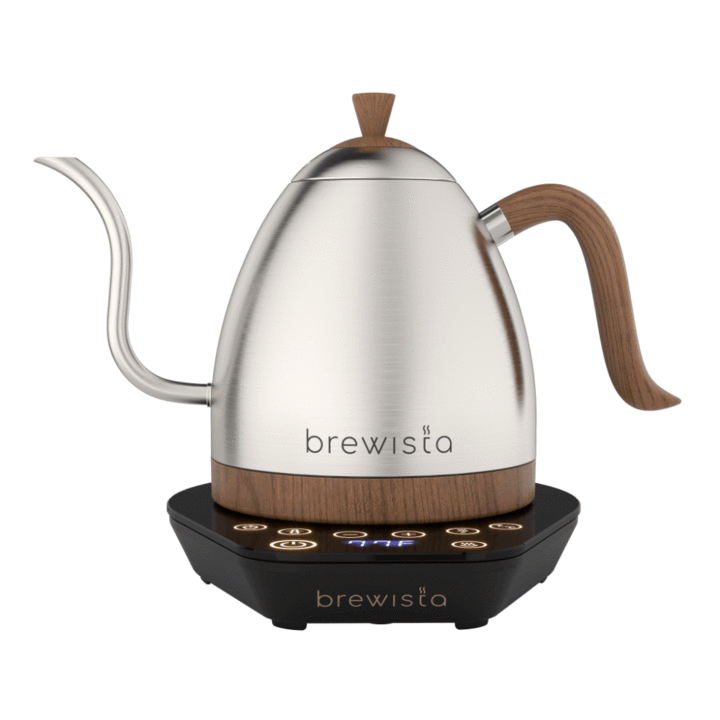 Brewista Artisan Variable Temperature Kettle 1.0L