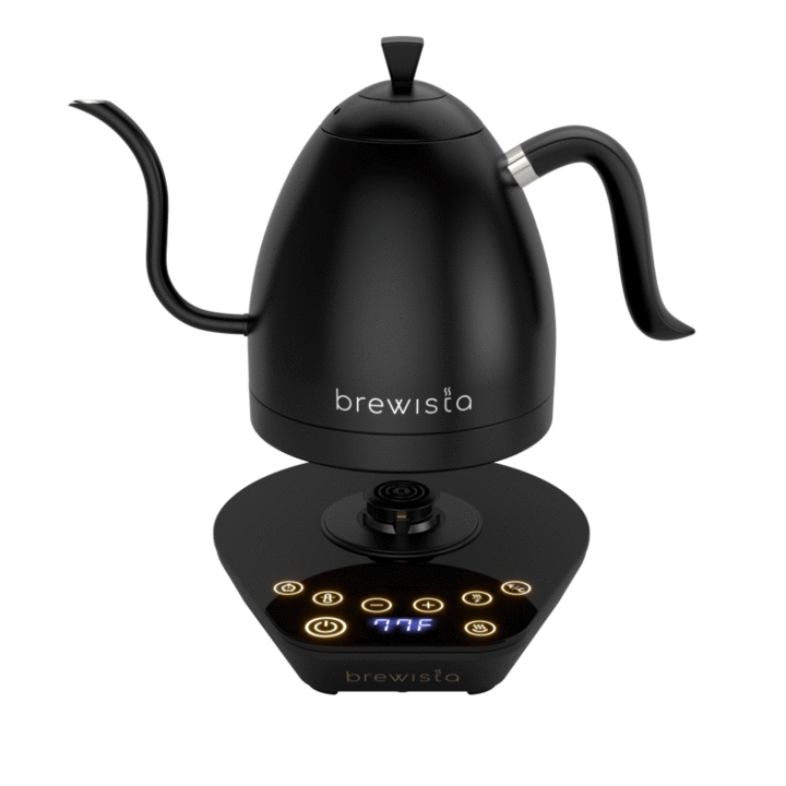 Brewista Artisan Variable Temperature Kettle 1.0L